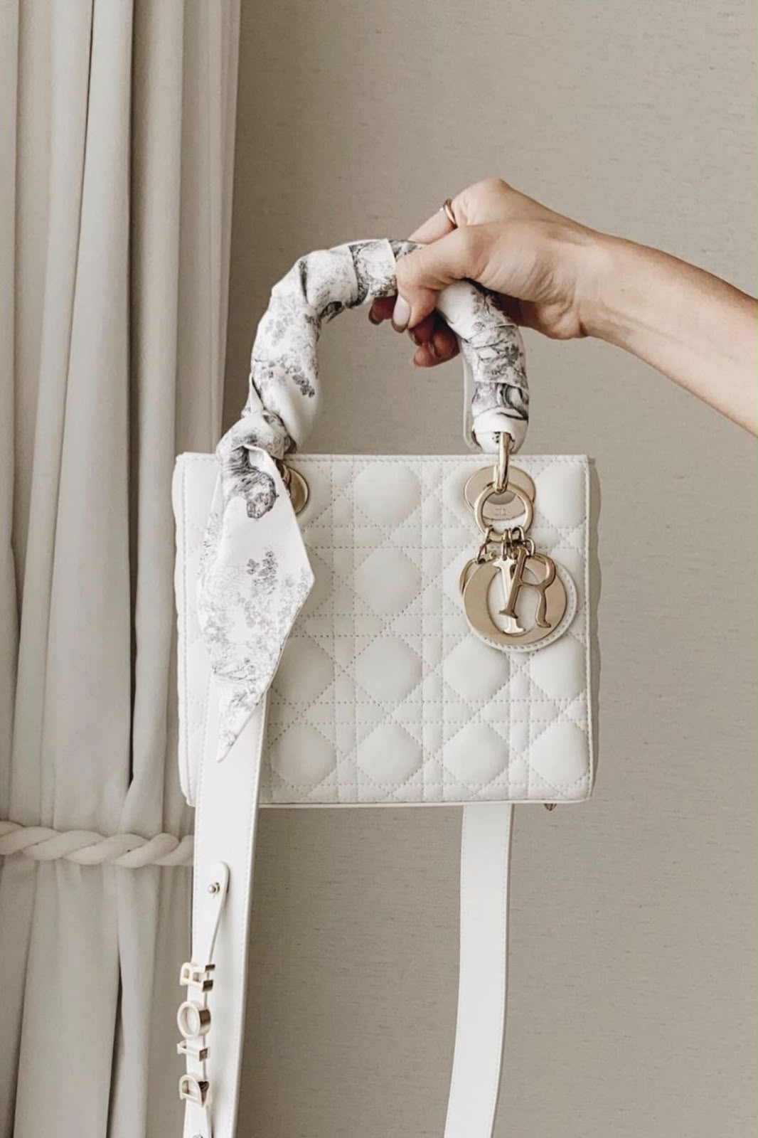 Dior Lady Bag