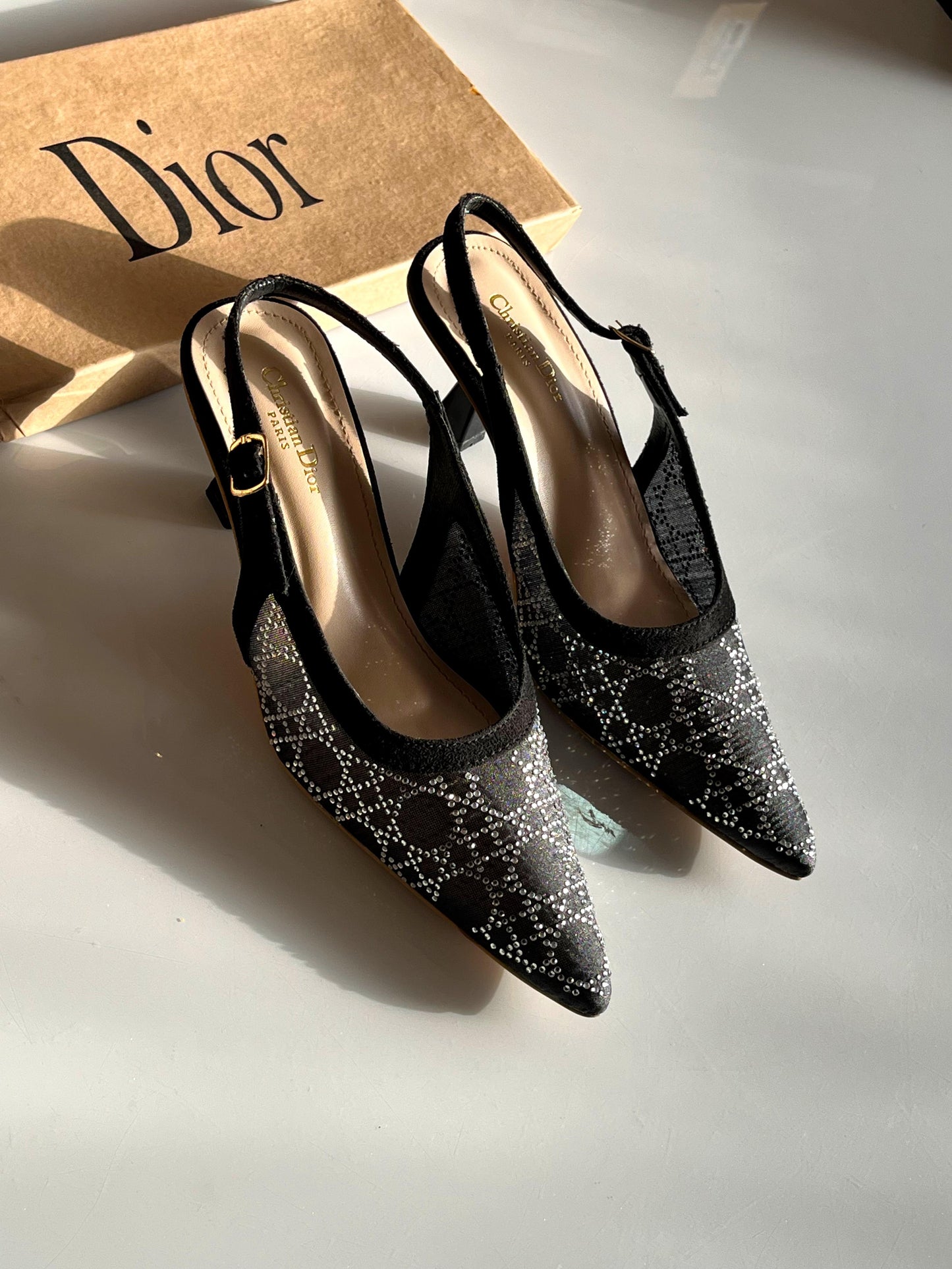 Dior Capture Slingback Pumps.