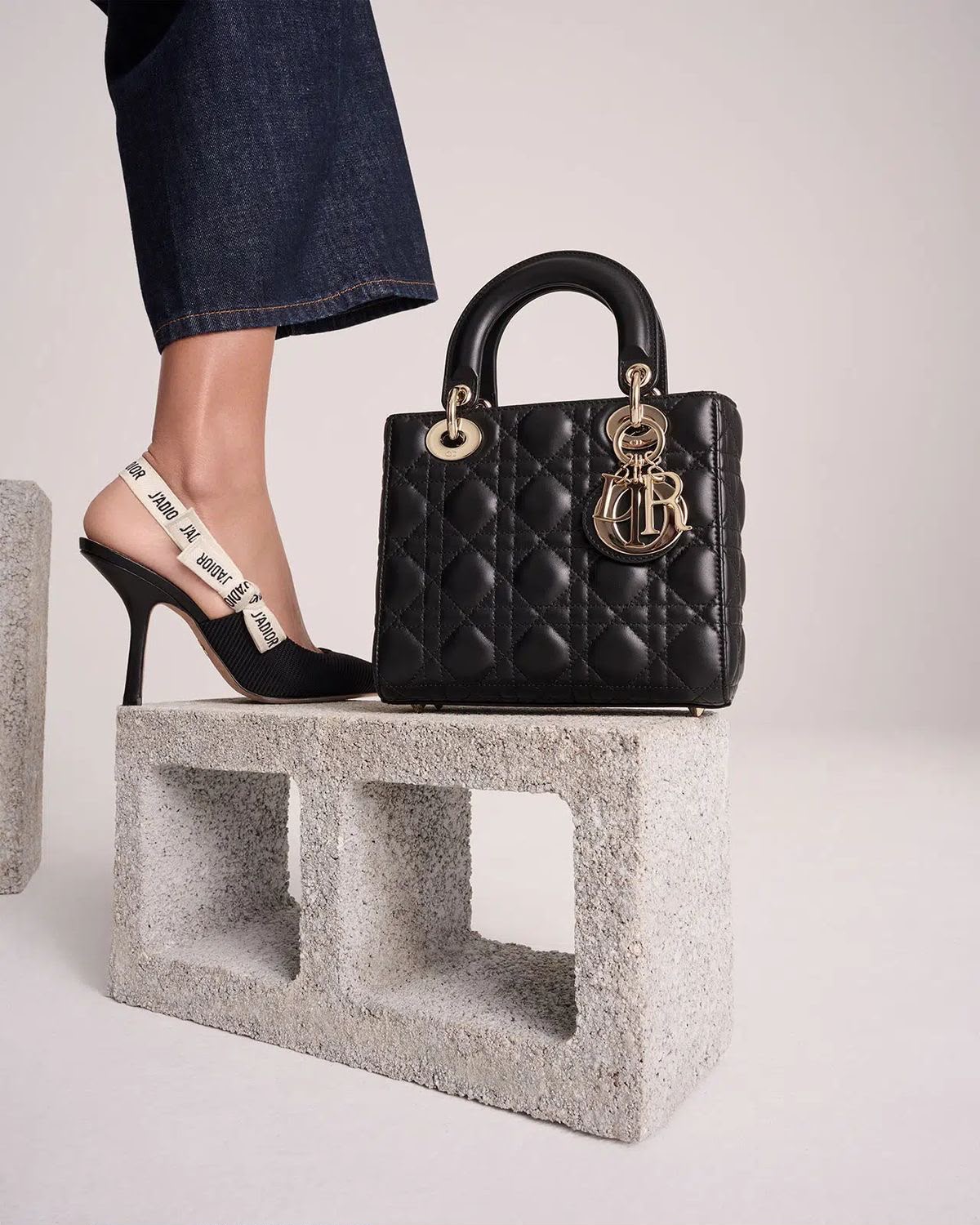 Dior Lady Bag