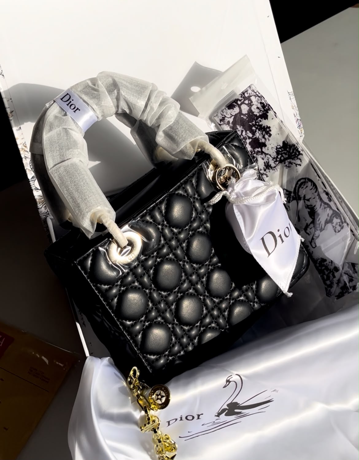 Dior Lady Bag